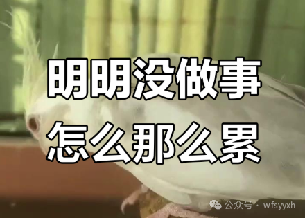 【提醒】亲，你那挥之不去的疲惫，可能不是单纯的累！！！